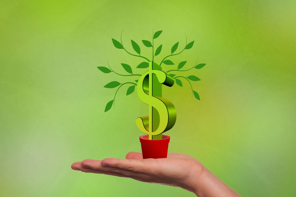Les investisseurs veulent créer une licorne en investissant